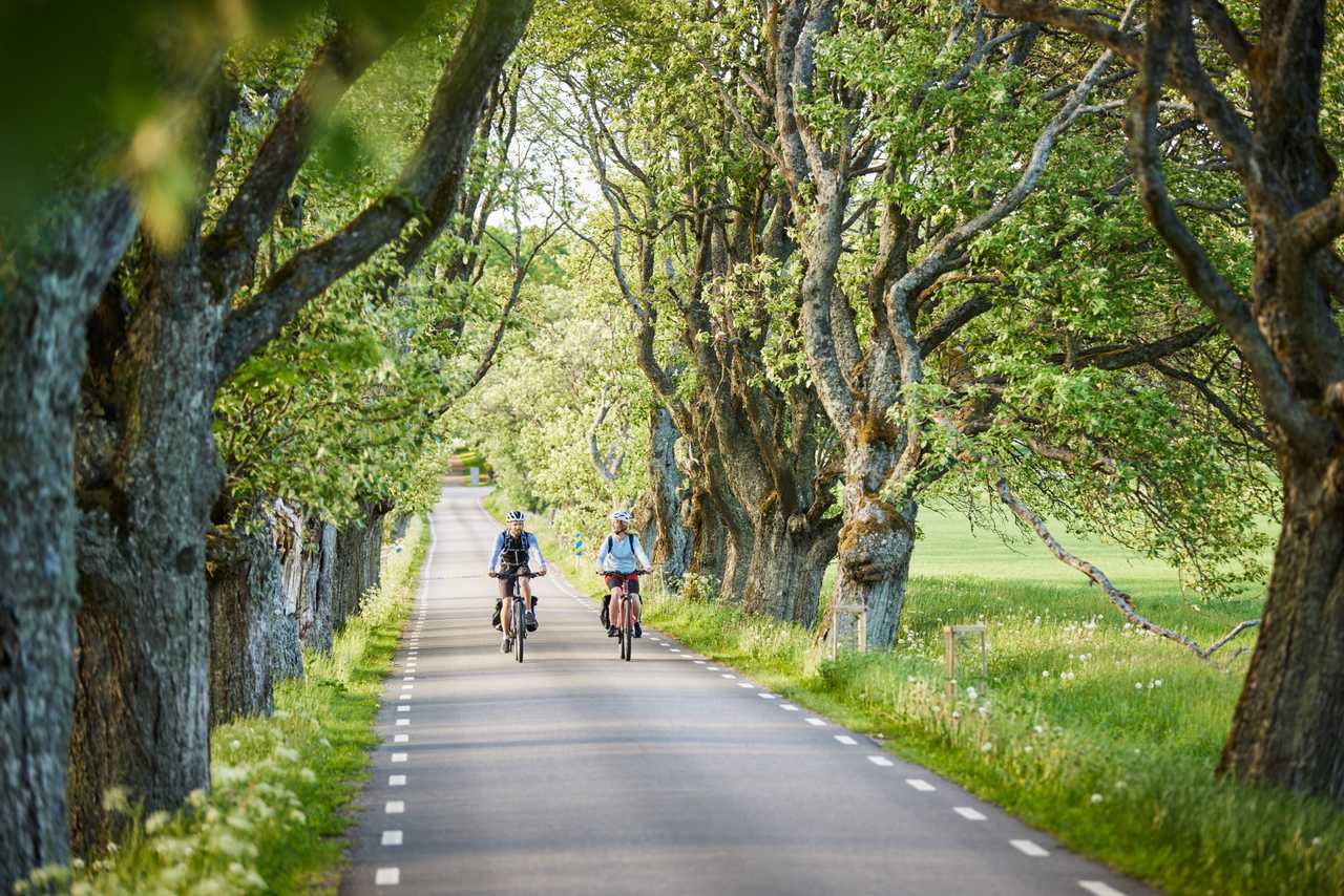 Cyklar du Vänerleden? Hjälp oss genom att svara på några frågor.
